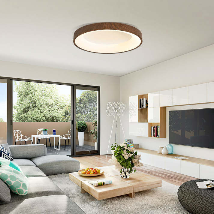 Oakora LED Ceiling Lamp